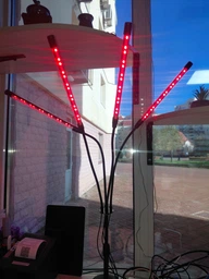 Фитолампа USB для роста растений на 4 лампы с подставкой, светодиодная LED фито лампа светильник для комнатных цветов, рассады, орхидей фото от покупателей 10