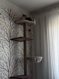 Когтеточка для кота дряпка Мур-Мяу Дана 50х50х210см для кошек в джутовой веревке Коричнево-бежевый МТ фото от покупателей 7