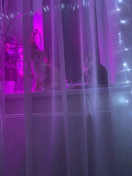 Фитолампа светодиодная LED Plant Grow Light на 4 лампы для роста растений на прищепке фитосветильник для комнатных цветов, рассады