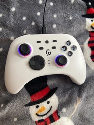 Беспроводной геймпад GamePro GPX13W 2.4G/BT 5.1/USB (Switch/PC/iOS/Android) RGB White
