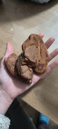 Кора сосновая голтованная (шлифованная), для орхидей средняя фракция 1 литр фото от покупателей 2