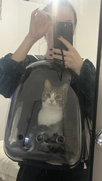Рюкзак переноска для кота кошки собаки домашних животных до 8 кг с окошком прозрачный кошачьи рюкзаки для переноски котов кошек маленьких собак зелёный (002277) фото от покупателей 4