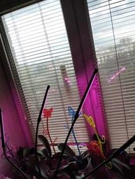 Фитолампа для роста растений на 4 лампы, светодиодная LED фито лампа на прищепке светильник для комнатных растений рассады (черная)