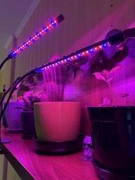 Фитолампа для роста растений на 4 лампы, светодиодная LED фито лампа на прищепке светильник для комнатных растений рассады (черная)