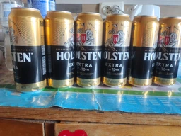 Упаковка пива Holsten Extra світле фільтроване 7% 0.48 л x 24 шт. (4820250943584)