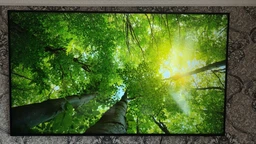 Телевизор Samsung QLED 55" QE55Q7F5AUXUA фото от покупателей 3