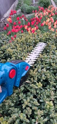 Аккумуляторний кущоріз ножниці садовий гілкоріз електричний триммер Garden + 2 аккумулятора в комплекті