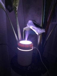 Увлажнитель воздуха ультразвуковой ночник для дома Brillix AirGlow 2F диффузор с led подсветкой 280мл + 4 сменных фильтра в комплекте увлажнители диффузоры фото от покупателей 5