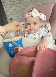 Дитяче пюре Gerber Pouch Яблуко та груша, 90 г (7613036345507) фото від покупців 9