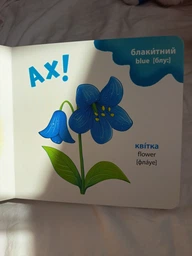 Розглядайка-розвивалка. Кольори фото от покупателей 1