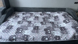 Покрывало Руно с ультразвуковой стежкой 150х212 см Полуторный Grey Cat двустороннее (Р360.52_Grey Cat)
