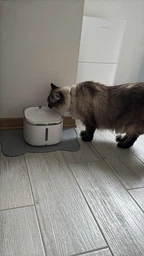 Автоматическая беспроводная поилка Petwant W10-E Pet Water Fountain, 2 л, с датчиком движения