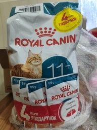 Сухой корм Royal Canin 11+ для стареющих кошек в возрасте от 12 лет 4кг фото от покупателей 1