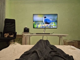 Монитор 32" Samsung Odyssey G5 (LS32FG502EIXUA) -- QHD 2K / Fast IPS / 180Hz / 1 мс (GTG) / HDR10 / FreeSync Premium / G-Sync Compatible / Pivot / Black Equalizer фото от покупателей 1