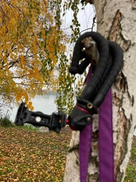 Трипод для смартфона RZTK Tripod Spyder