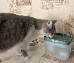 Автопоилка для кошек и собак Noxon AutoWater Clean 2в1 автоматическая поилка фонтан с фильтром и защитой от сухости + адаптер в подарок (NAW01)