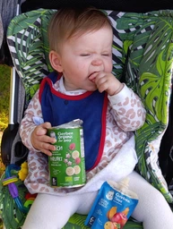 Пюре фруктово-овощное Gerber Яблоко, Тыква, Абрикос для детей с 6 месяцев 90 г (7613036034999) фото от покупателей 7