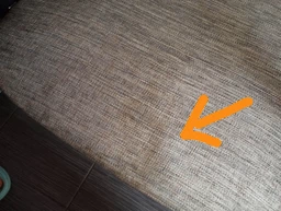 Моющий пылесос-пятновыводитель Rowenta Clean It Compact IN3020F0 фото от покупателей 13