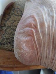 Пемза пилка для ног и пяток роликовая аккумуляторная Callus Remover 3W электрическая для шлифовки электропемза для педикюра USB розовая фото от покупателей 3