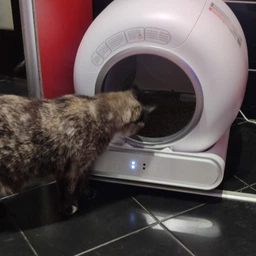 Розумний автоматичний лоток для котів iHunt Smart Cat Litter V1 з самоочищенням і фільтрацією запахів фото від покупців 1