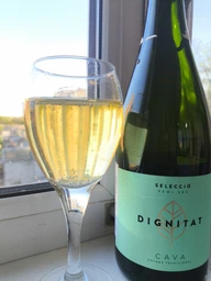 Вино игристое Dignitat Cava Demi Sweet белое полусухое 0.75 л 11.5% (8410644620458)