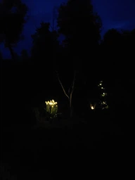 Садовые фонари на солнечной батарее, комплект 10 шт, 32 см — уличные LED светильники для дорожек, газона, клумб и сада
