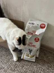 Сухой корм для котов Royal Canin Urinary S/O уринари 1.5 кг 39010151 фото от покупателей 2