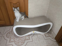 Когтеточка-лежанка для кошек Say Meow Grace гофрокартон, 67х27х24 см (8040190103008) фото от покупателей 1