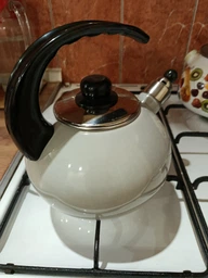 Чайник Kamille 2,5л с эмалевым покрытием со свистком KM-1039B