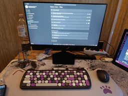 Комплект Canyon HSET-W6 Kitty Edition Wireless UA [121626]