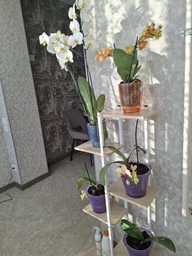 Подставка для цветов металлическая 6-ярусная 113 см 113x60x20см біло-коричнева SZ16B
