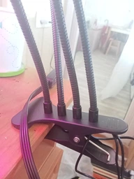 Фитолампа для растений на 4 ветки светодиодная LED с таймером USB 20Вт, настольная лампа для роста и цветения, комнатных и тепличных растений с клипсой-зажимом и USB питанием, красный, фиолетовый и синий свет Черная LP-418 фото от покупателей 4