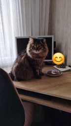 Exclusion Sterilized Beef корм для стерилизованных кошек с говядиной, 1.5 кг