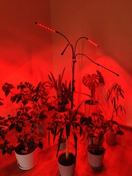 Світлодіодна фітолампа для росту рослин та розсади Gardlov Повний спектр 4 голови фото від покупців 2