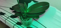 Накамерный свет LED RGB видеосвет светодиодная лампа для камеры телефона аккумуляторный регулируемая яркость и цветовая температура для фото видеосъемки блогера + крепление в комплекте фото от покупателей 1
