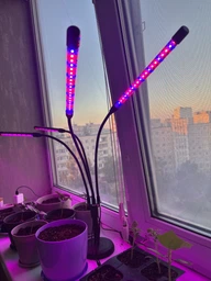 Фитолампа USB для роста растений на 4 лампы с подставкой, светодиодная LED фито лампа светильник для комнатных цветов, рассады, орхидей