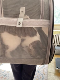 Рюкзак-переноска для кошек и собак 41х28х35 CosmoPet CP-42 Gray