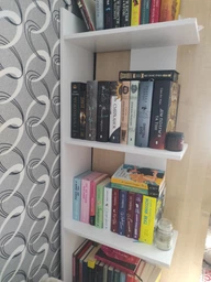 Полиця для книг DC Megan Графіт/Сонома (полиці) ordf (DC121499)