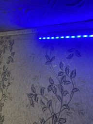 Розумна світлодіодна стрічка RZTK Smart RGB LED BT USB 5м + пульт фото від покупців 2