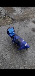 Дождевик-накидка с капюшоном для собак WAUDOG Clothes рисунок "NASA21", M, А 40-43 см, B 52-62 см, С 33-42 см (357-0148collar) фото от покупателей 1