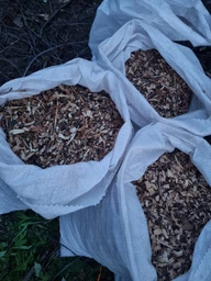 Щепорез садовый 3 кВт с двумя ножами на диске, универсальный садовый электрический измельчитель ветвей до 5 см. + 2 дополнительных ножа фото от покупателей 2