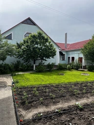 Газонная трава универсальная (смесь) 1 кг фото от покупателей 1