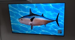 LCD телевізор (LED) Haier H32S80EFX фото від покупців 5