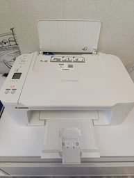 МФУ Canon Pixma TS3751i White (6671C028) фото от покупателей 1