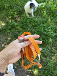 Повідець для собак водостійкий Waudog Waterproof L/XXL 25 мм х 122 см Червоний (27233 Col)