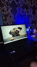 Ноутбук Asus Vivobook 15 X1504VA-BQ3122 (90NB13Y1-M01550)