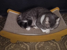 Кігтеточка лежанка гамак для котів