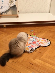 Интерактивная игрушка пряталка когтеточка для кошек и собак с датчиком движения перьями и звуками автоматическая дразнилка для кота USB зарядка с присосками Прятки 2