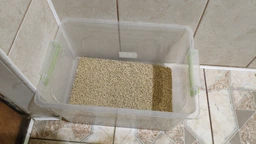 Соевый наполнитель для кошачьего туалета MiMi CAT TOFU классический, 12 л / 5,4 кг (4820276110298N)