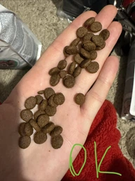 Exclusion Cat Sterilized Tuna – Сухой монопротеиновый корм для взрослых стерилизованных кошек с тунцом 300 г. фото от покупателей 1